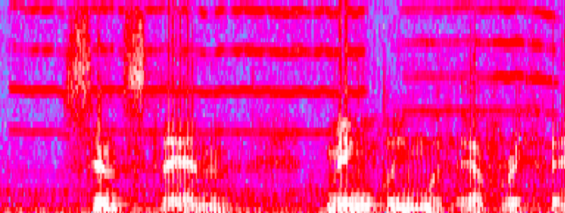 Mechanical Tape Squeak Visible as Uniform Horizontal Lines with Audacity Spectrogram