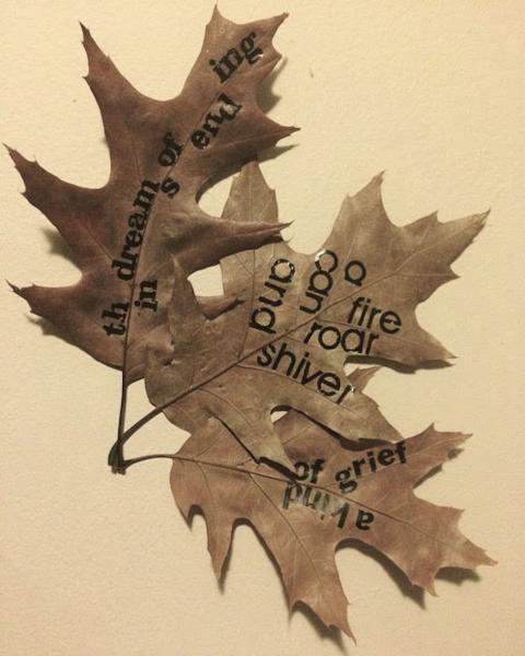 letraset on autumn leaves