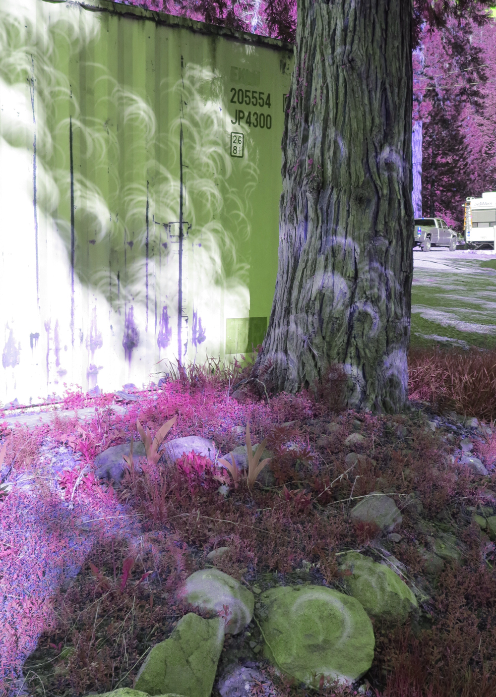 Image by Andrew Joron of eclipsed sun-images filtered through trees, casting zer