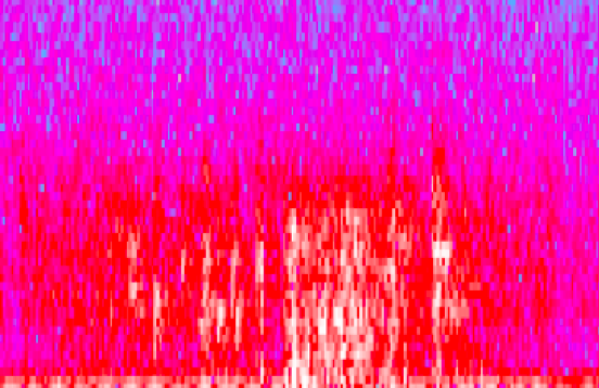 A Diffuse Cloud of Laughter as Visible with Audacity Spectrogram
