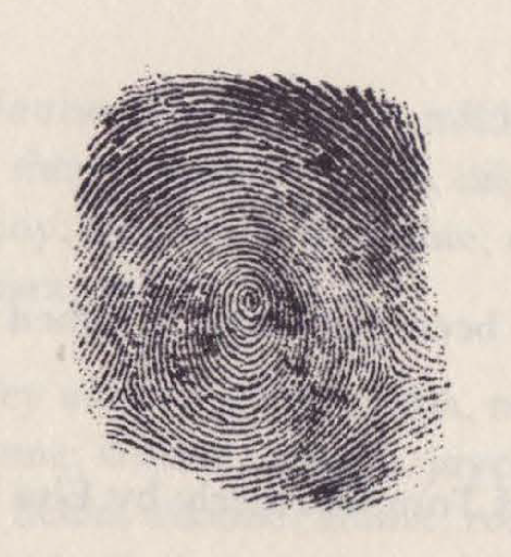 Image of a thumbprint