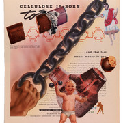 Cellulose Is Born (2010)