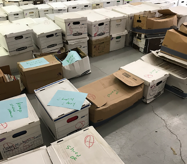 Several rows of banker boxes and legal sized boxes set out in rows