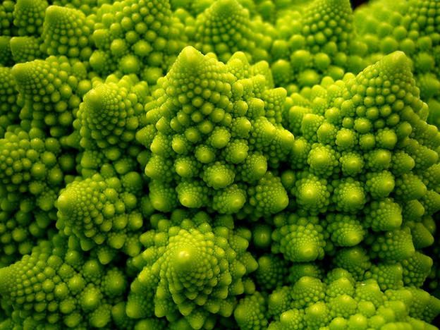 Iconic image of Romanesco broccoli, courtesy of Wired.