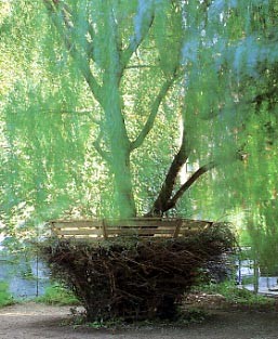 The treehouse in El Jardin del Paraiso
