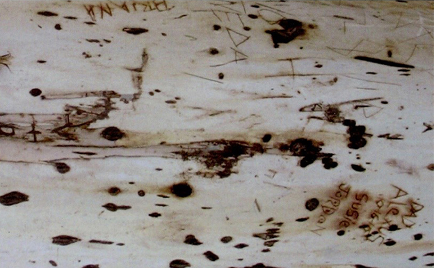 Image adapted from the cover of ’Tree Talks.’