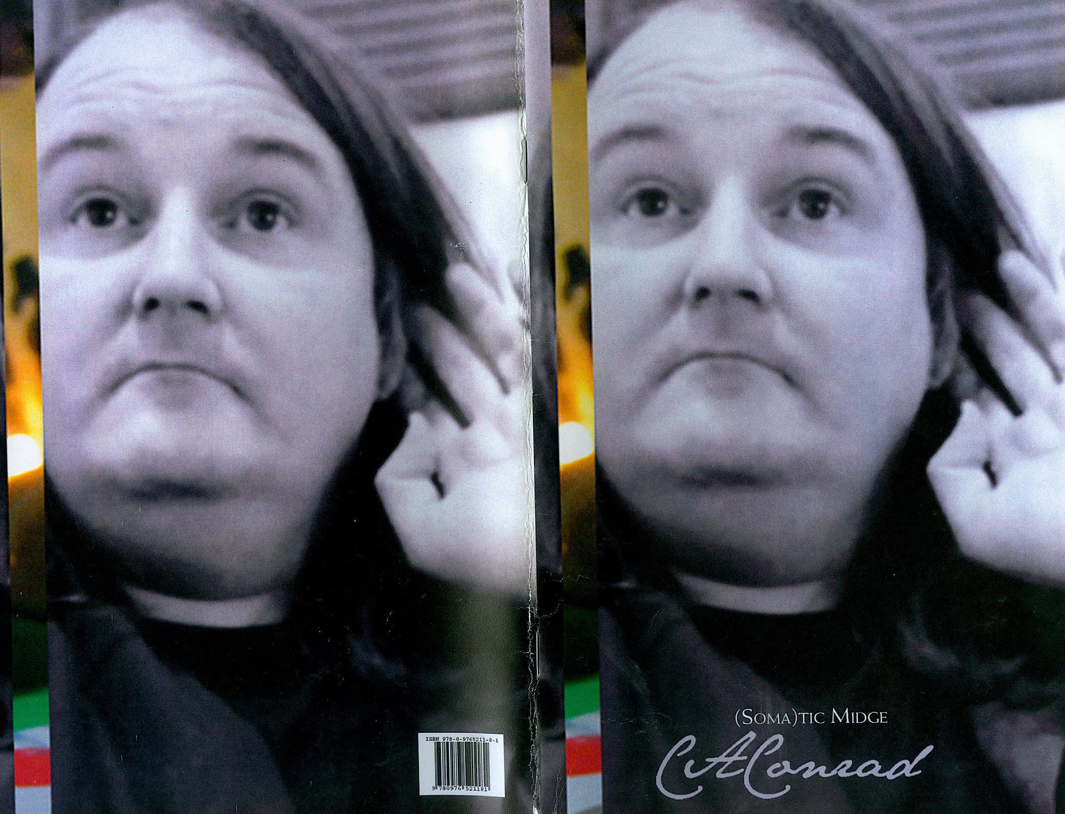 The jacket of the Faux Press edition of "(Soma)tic Midge"