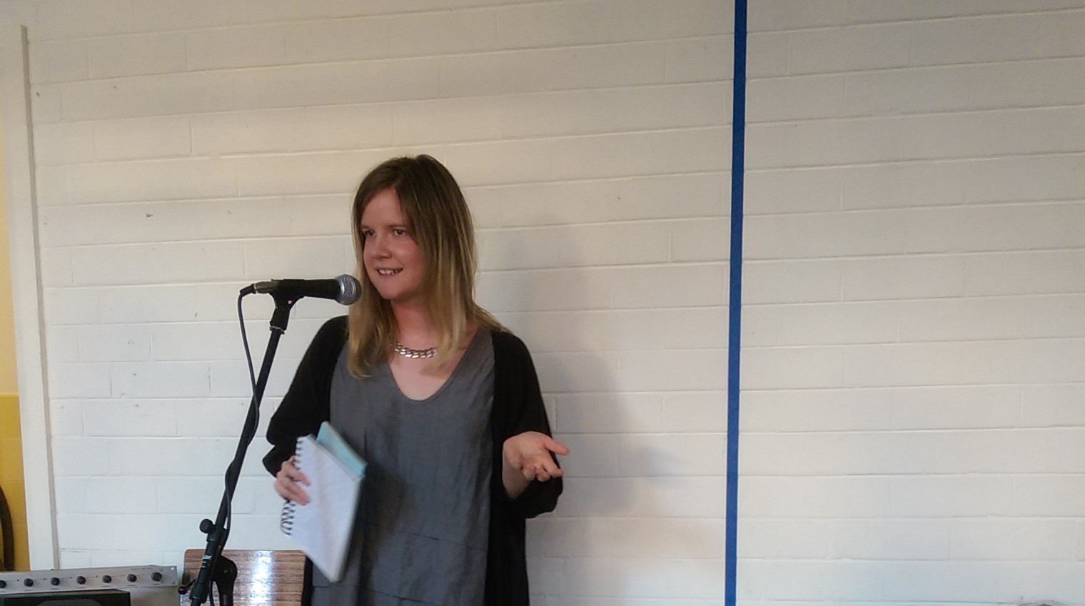Emily Stewart at the Sydney launch of Knocks (Vagabond Press, 2016) Emily Stewart at the Sydney launch of Knocks (Vagabond Press, 2016)