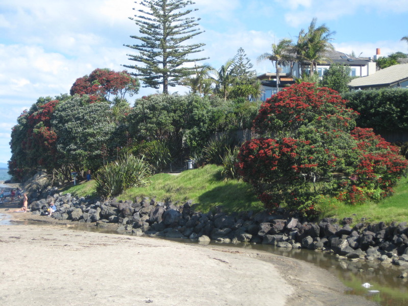 Mairangi Bay / Photograph: Jim Ross mairangi bay