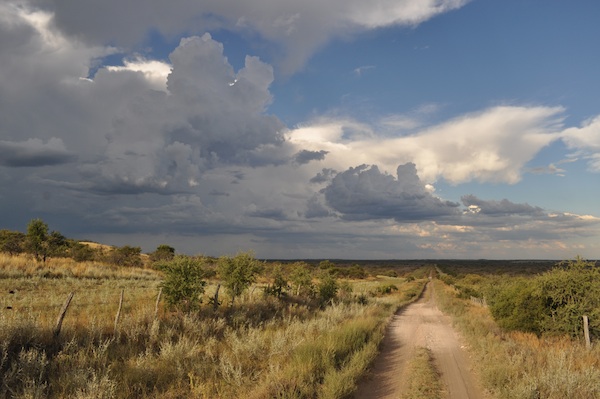 Argentine Pampas. Photo Credit: Lauren Svejcar Argentine Pampas. Photo Credit: Lauren Svejcar