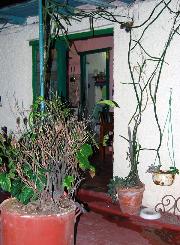 Rodríguez home, "la azotea," 2013. K Dykstra. Rodríguez home, "la azotea," 2013. K Dykstra.