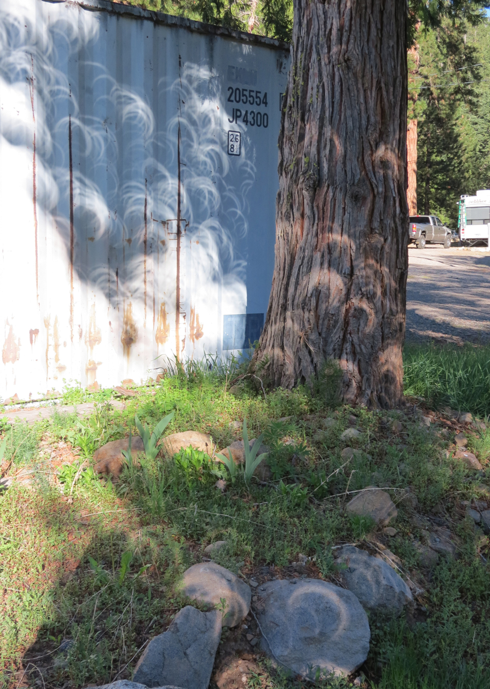 Image by Andrew Joron of eclipsed sun-images filtered through trees, casting zeros and almost-zeros on nearby objects. Image by Andrew Joron of eclipsed sun-images filtered through trees, casting zer