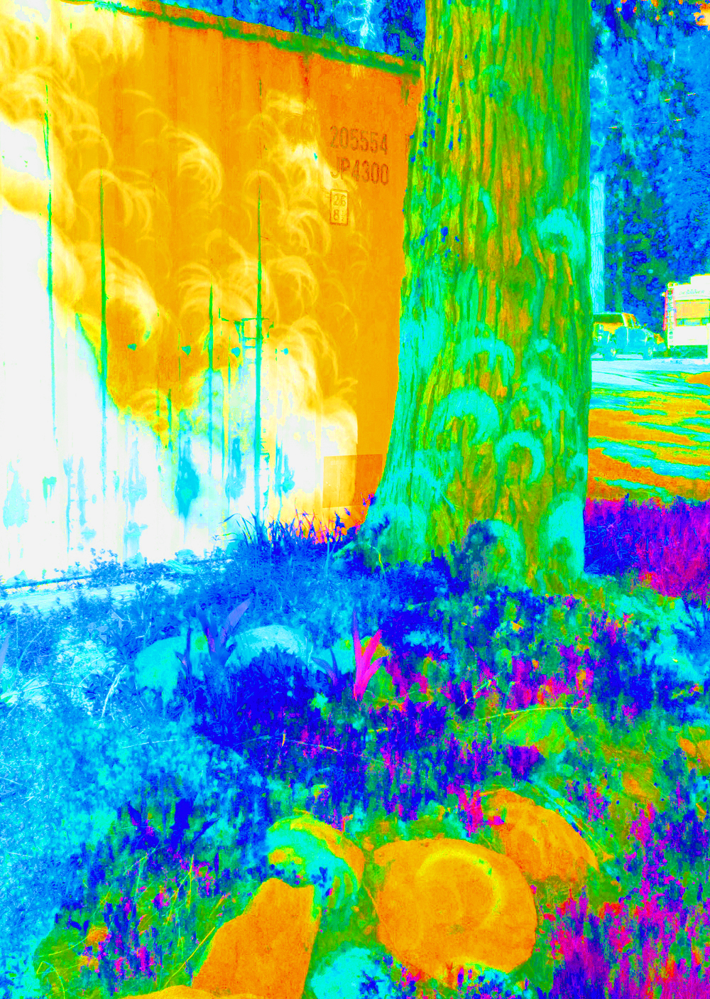 Image by Andrew Joron (with alterations by Amy Catanzano) of eclipsed sun-images filtered through trees, casting zeros and almost-zeros on nearby objects. Image by Andrew Joron (with alterations by Amy Catanzano) of eclipsed sun-images