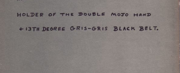 Detail from back cover of ‘Maumau American Cantos.’