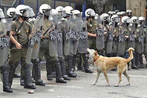 riot dog of Athens riot dog of Athens