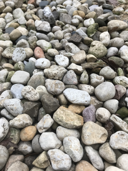 Pebbles in the author's yard.