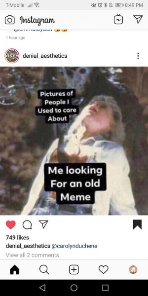 screenshot of an instagram meme by @carolynduchene reposted by @denial_aesthetics with a person being stabbed from behind by a wraith; on the person are the words "Me looking For an old Meme" and on the wraith are the words "Pictures of People I Used to care About"